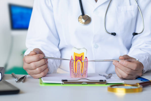 Best Emergency Root Canal Treatment in Ellsworth, ME